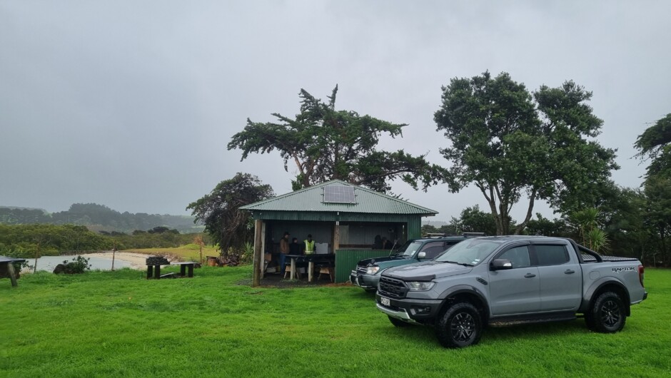 Sheep &amp; Beef Working Farm Tour