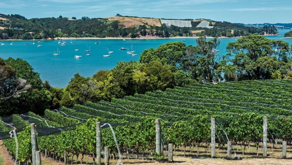 Waiheke Island
