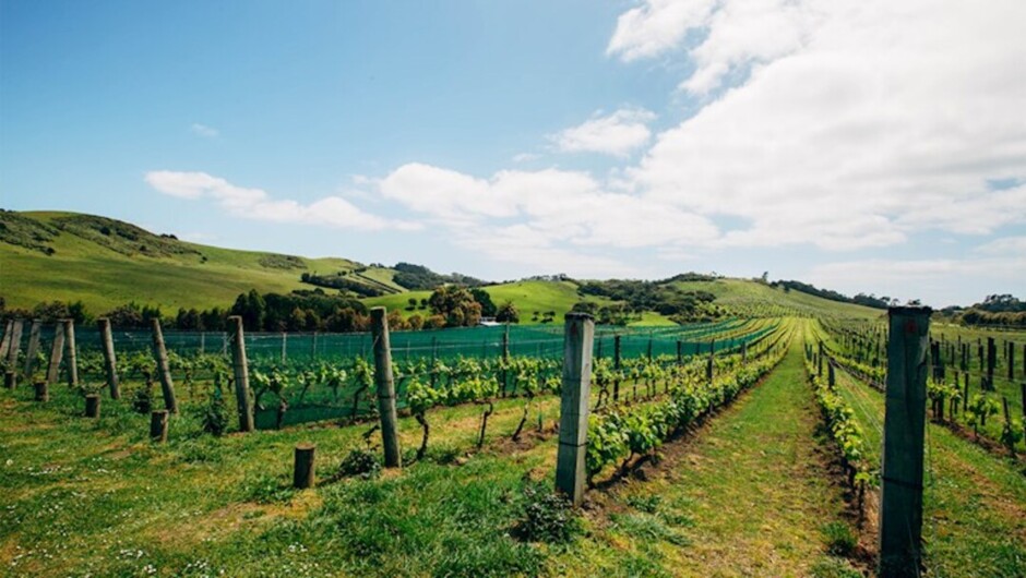 Waiheke Island