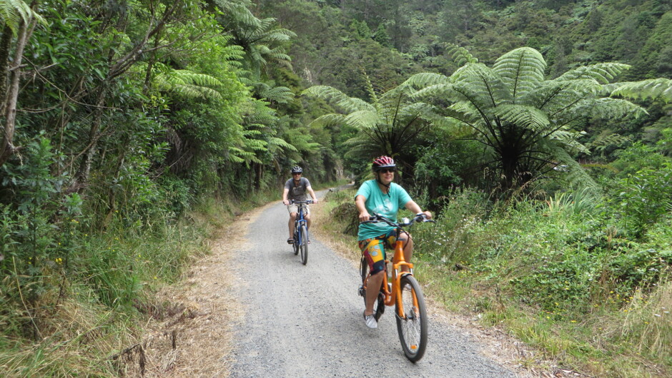 Riding amongst the beautiful trail, not a pressure in the world.