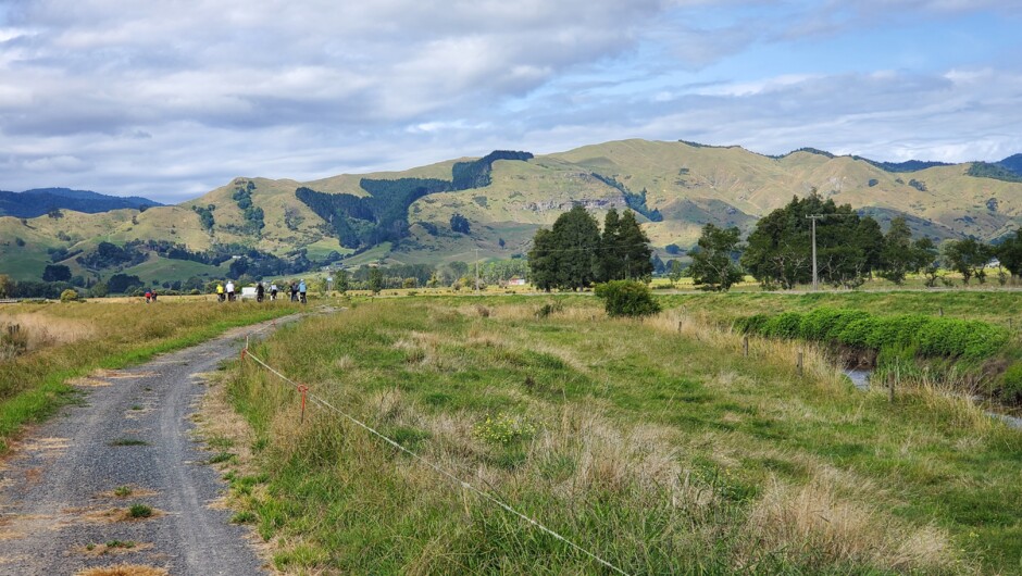 Looking to Mount Te Aroha, a beautiful view, the photo does no justice to this ride.