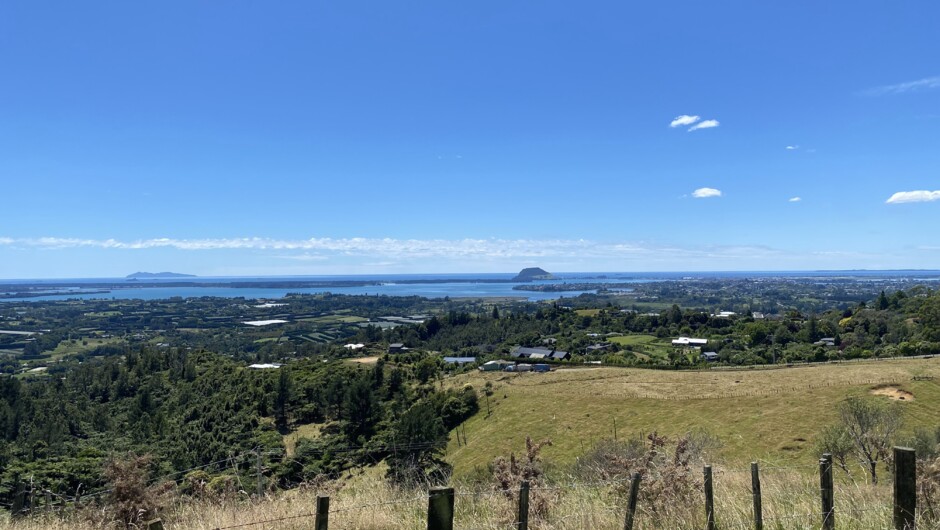 Minden Lookout
