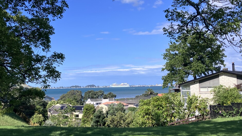 Otumetai Reserve