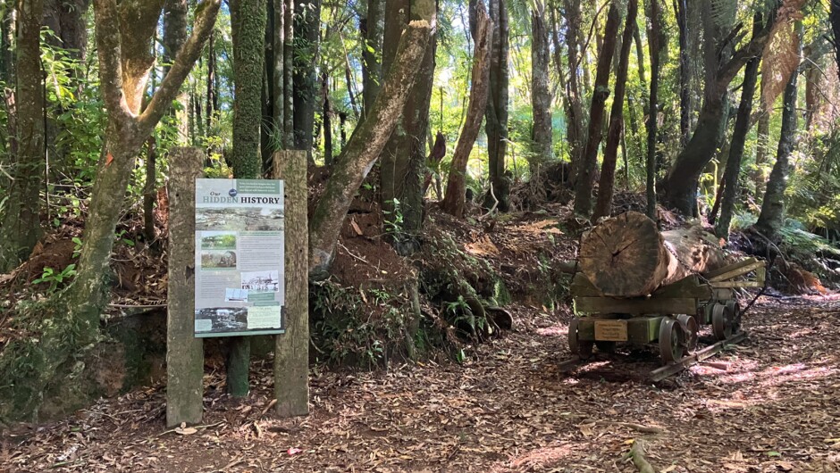 Puketoki Reserve
