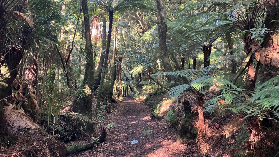 Puketoki Reserve