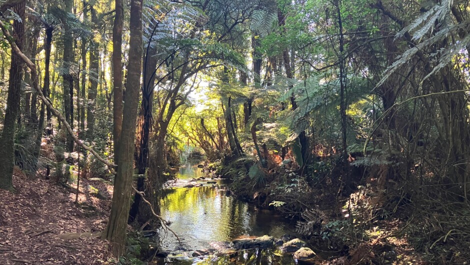 Puketoki Reserve