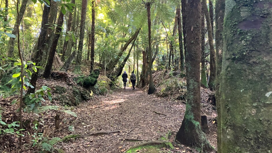 Puketoki Reserve