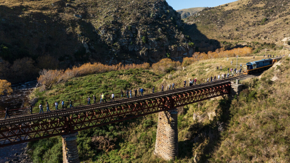 Deep Stream Bridge Walk