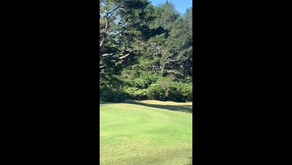 Tairua Golf Club