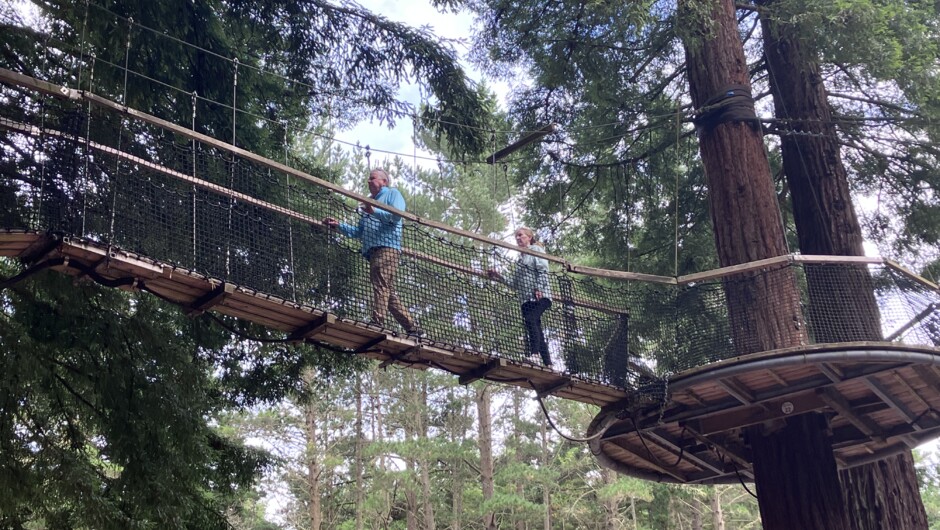 Redwood Forest tree walk (Optional)