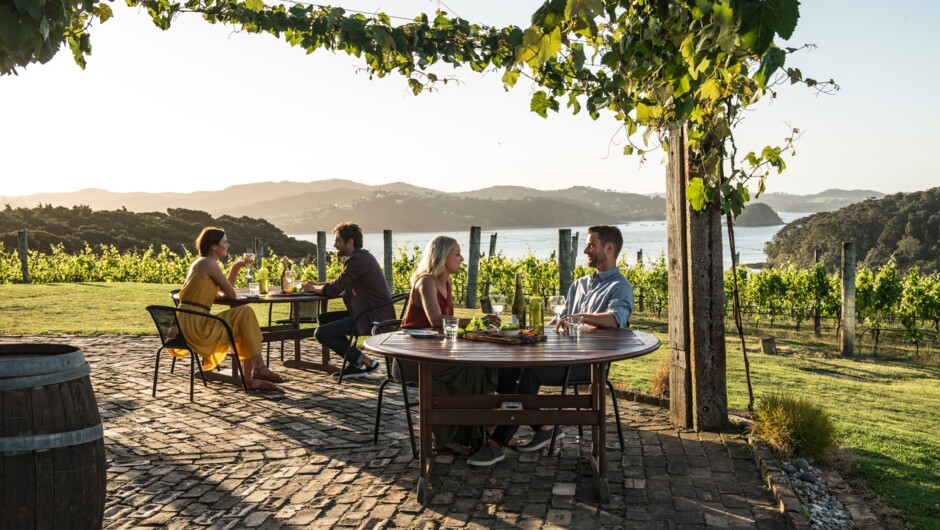 Group setting Vineyard - North Island