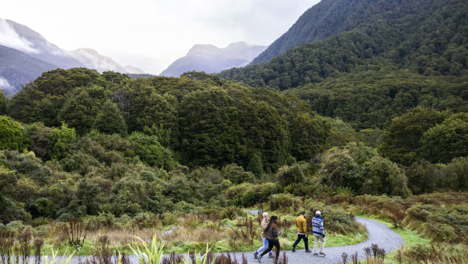 Wānaka Otago Group Walk