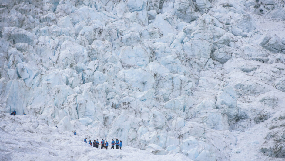 Franz Josef