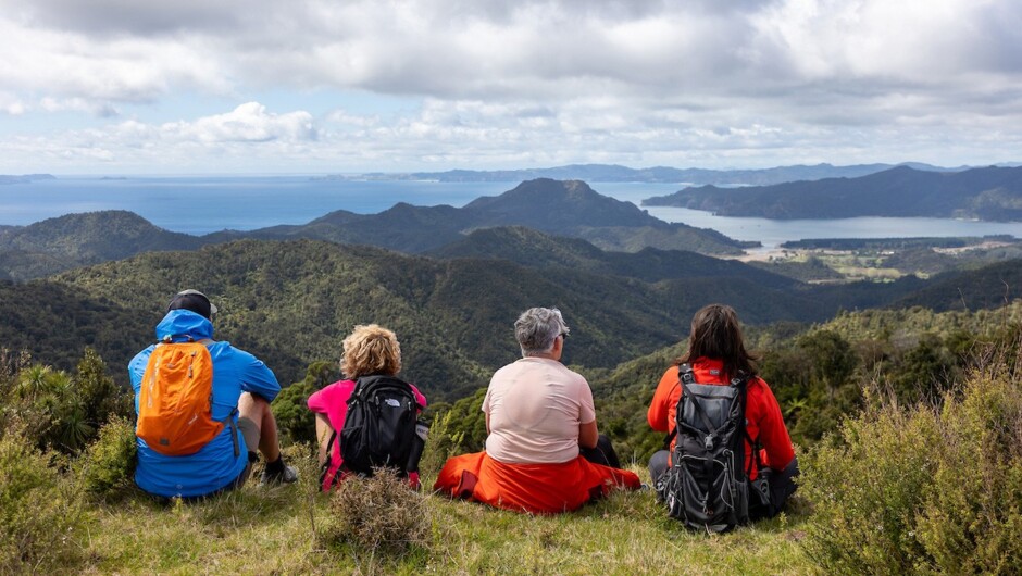 Gorgeous Coromandel Views