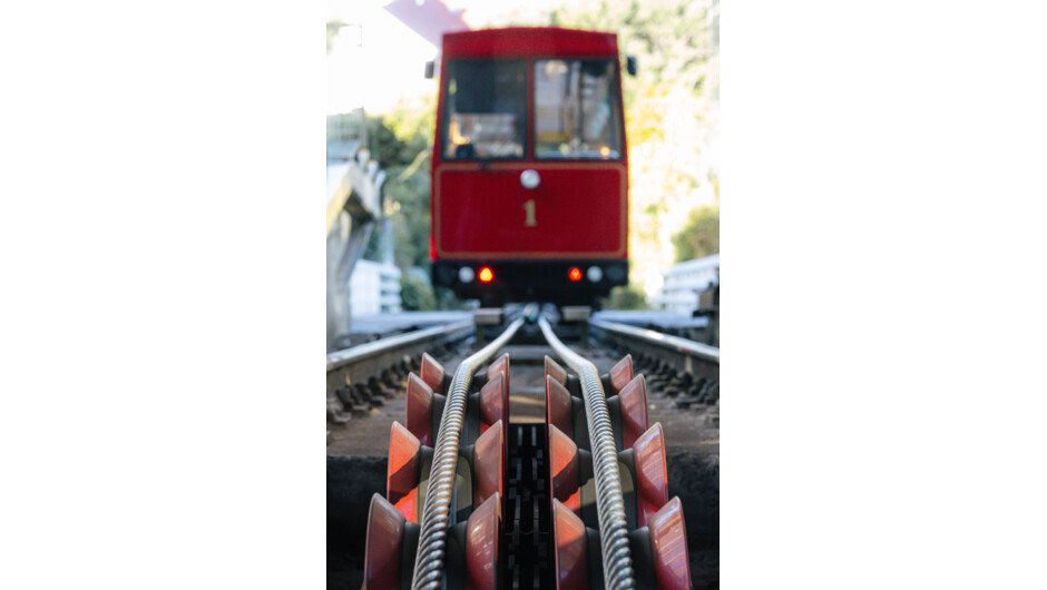 Visible rollers at Kelburn Terminal