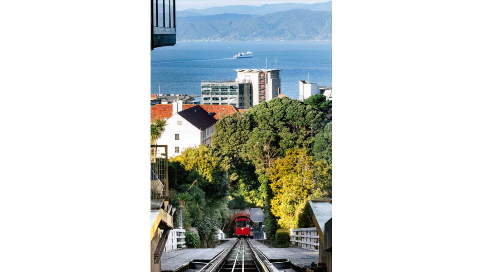 The view down the line into the city and harbour