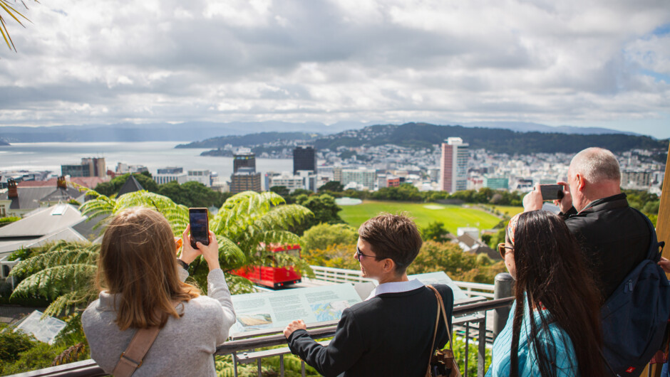 Best views in Wellington