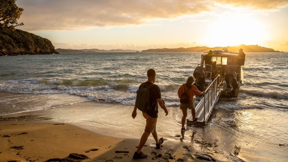 Bay of Islands boat
