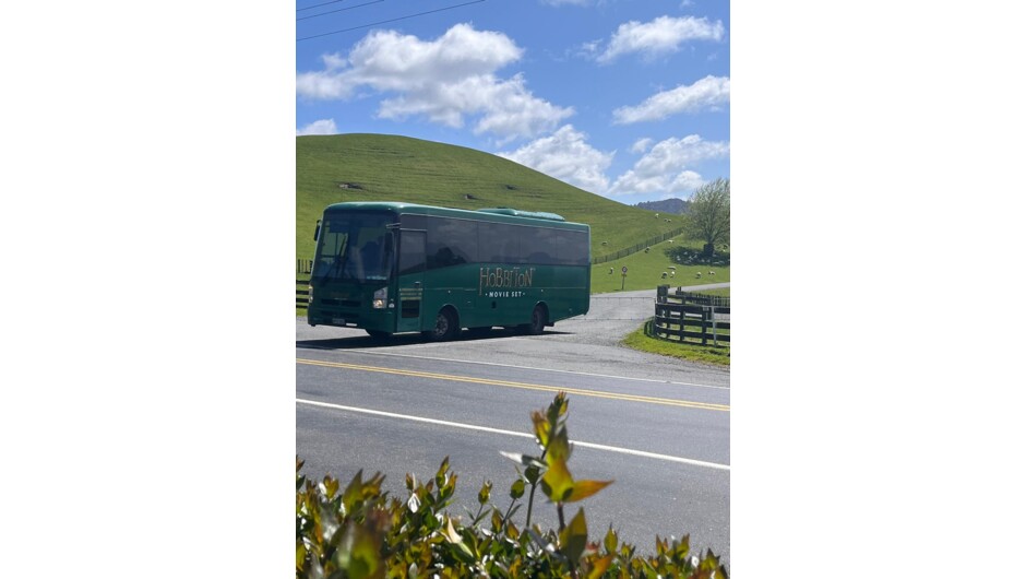 Arrive in style at the rolling green pasturelands of the world-famous Hobbiton Movie Set.