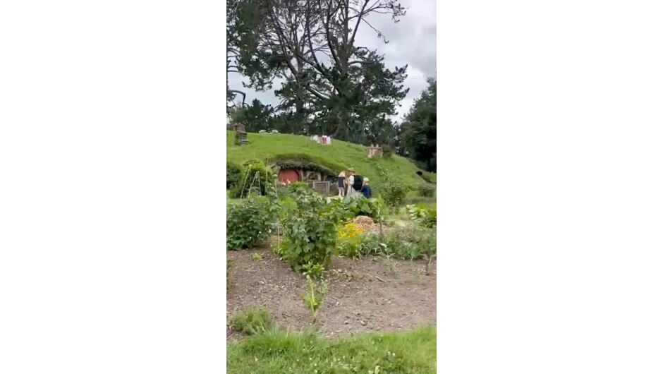 Exploring the Real Hobbiton Movie Set in New Zealand