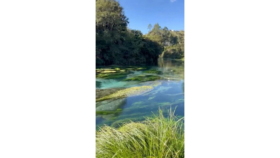 Impossibly Clear Water. The Blue Spring New Zealand