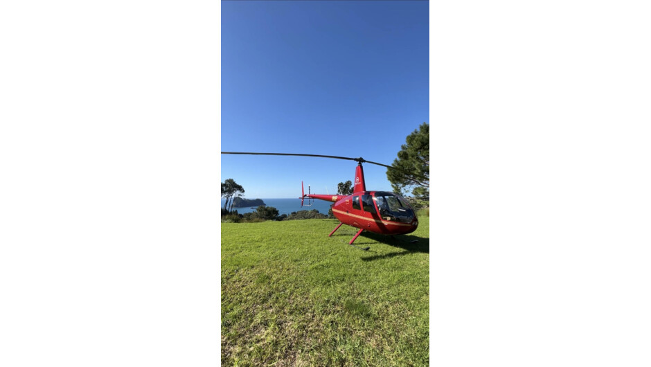 Cathedral Cove Landing