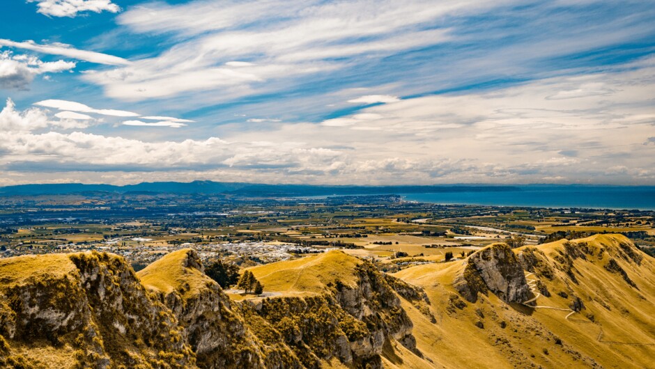 Napier