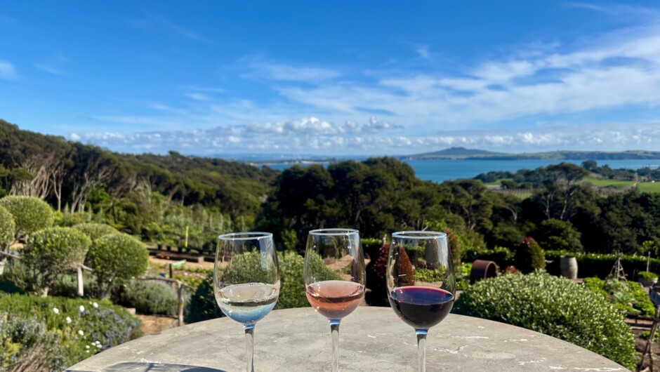 Wine tasting at Mudbrick