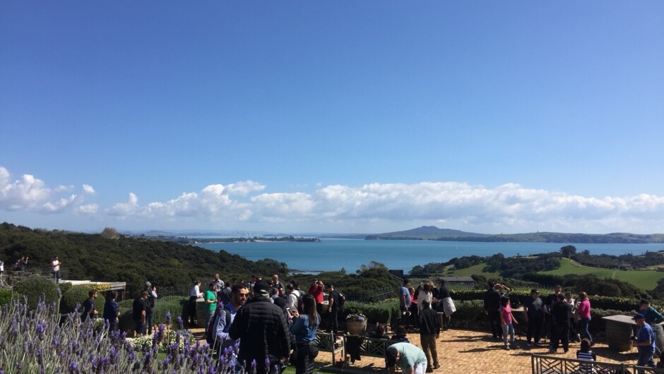 Wine tasting at Mudbrick