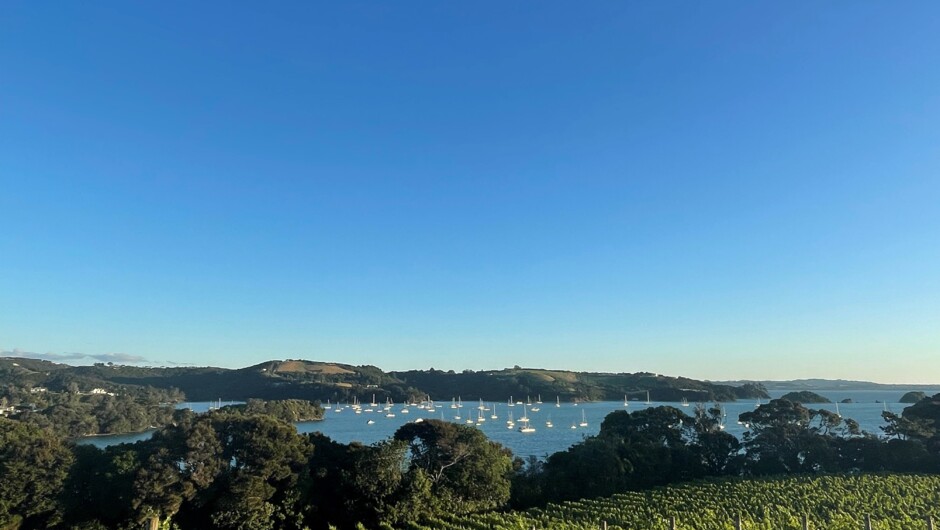 Wine tasting at Goldie Estate