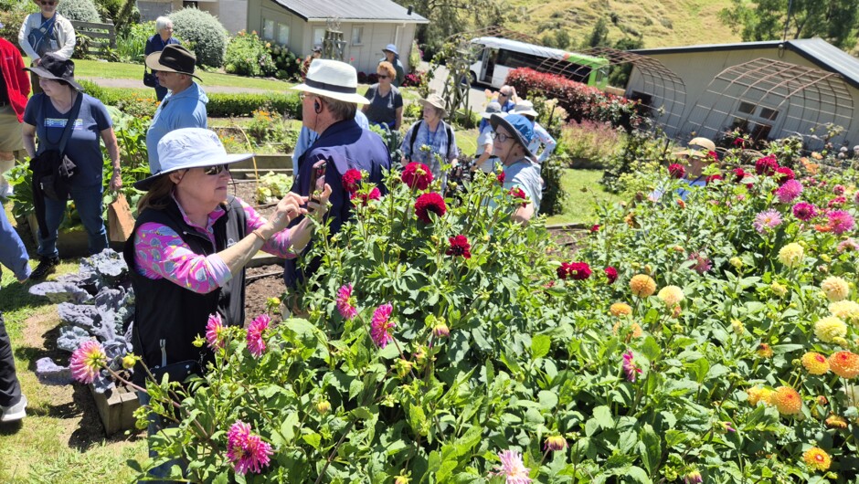 Guests enjoying the stunning gardens