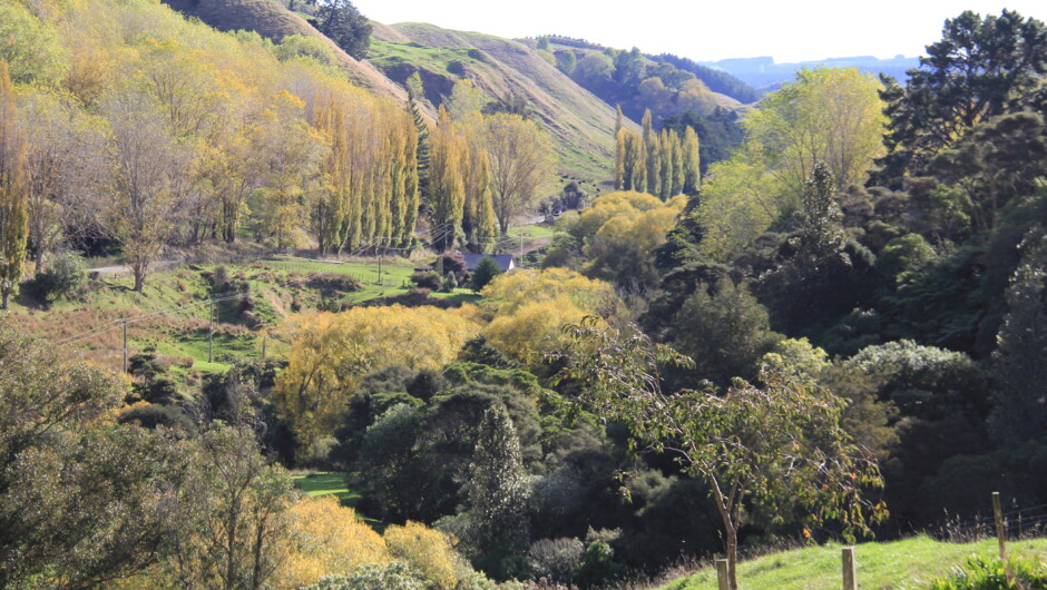 Enjoy the stunning views during your guided tour, of the working sheep &amp; beef farm