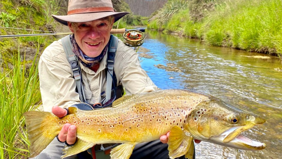 Exceptional wild brown trout from a small local stream