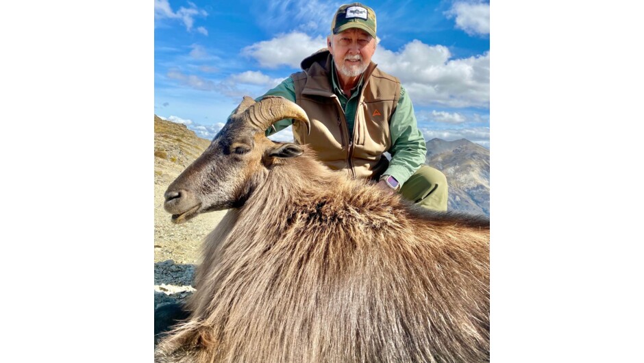 Himalayan Bull Tahr