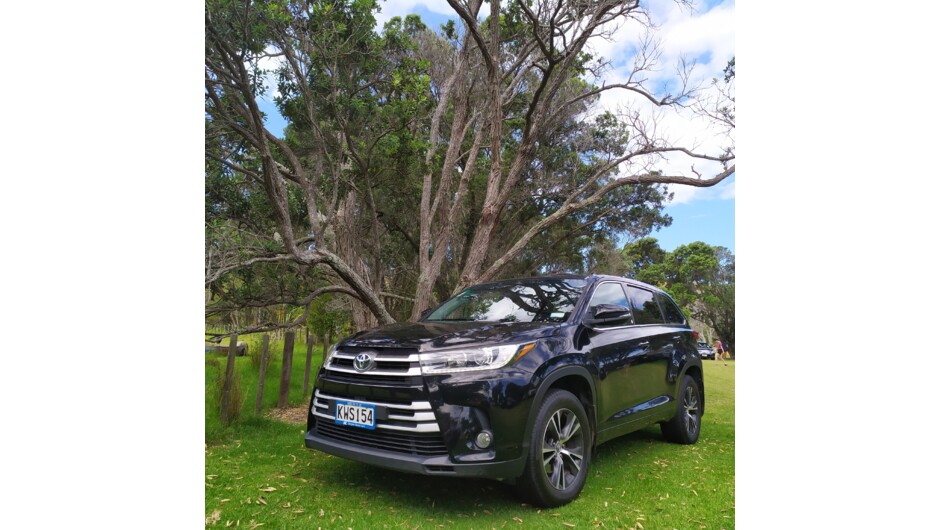 Bargain Rental Cars