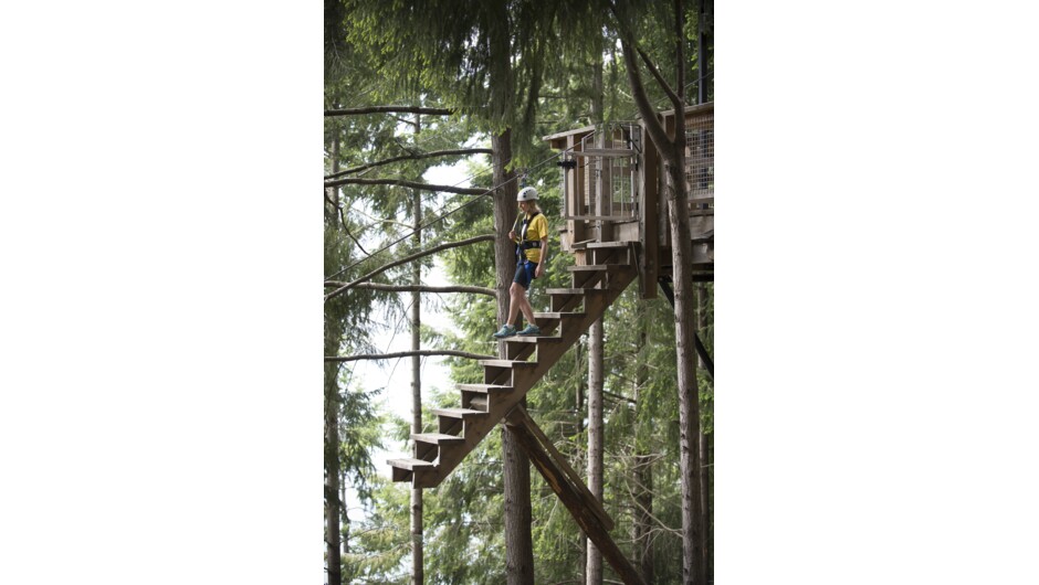 Ziptrek Queenstown the steepest tree-to-tree zipline