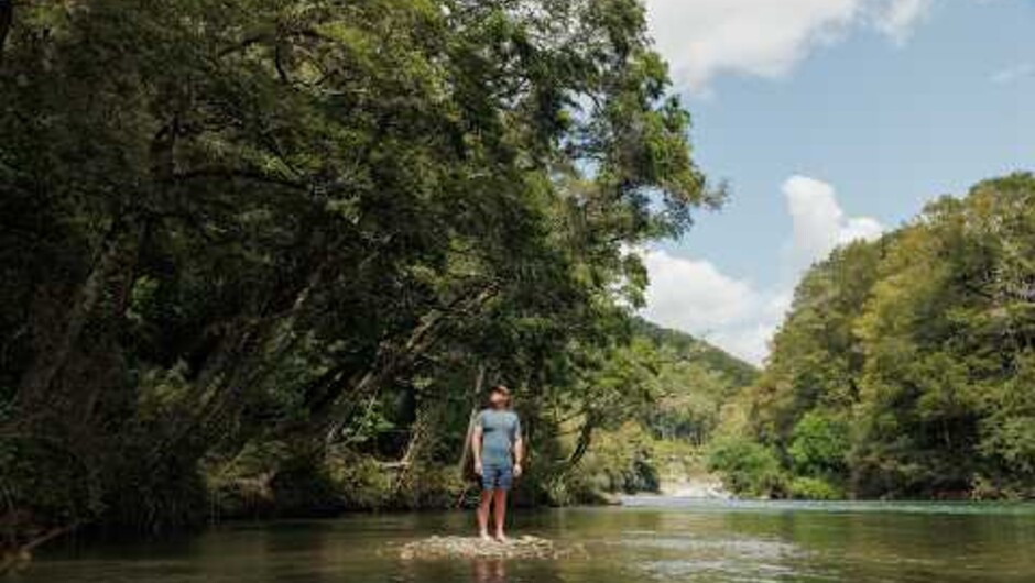 Healing Waters &amp; Native Forests | What Makes Maruia River Retreat?