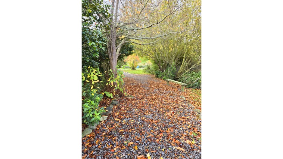 Walking pathway