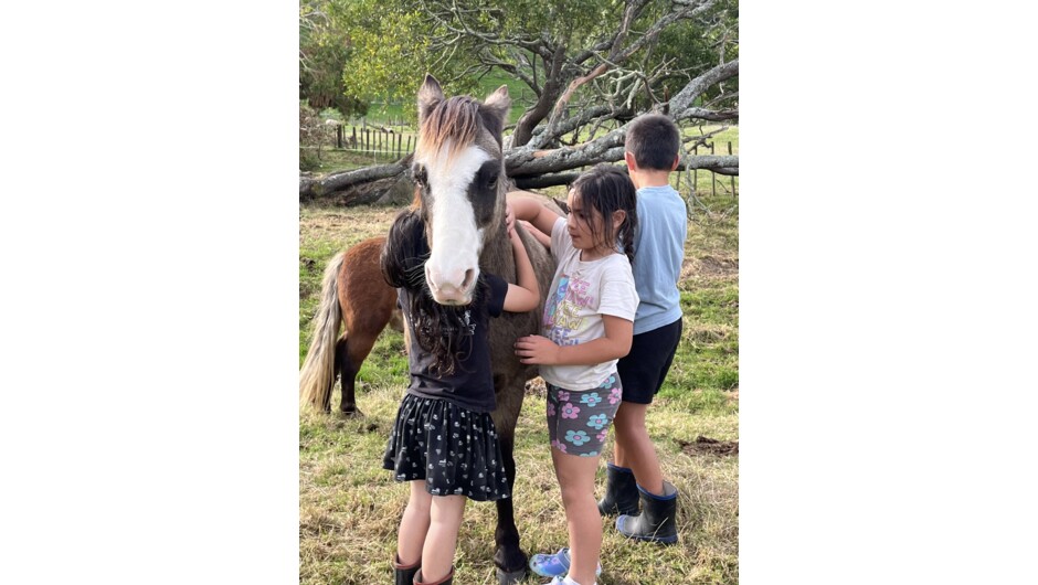 Cuddles with ponies is a must!