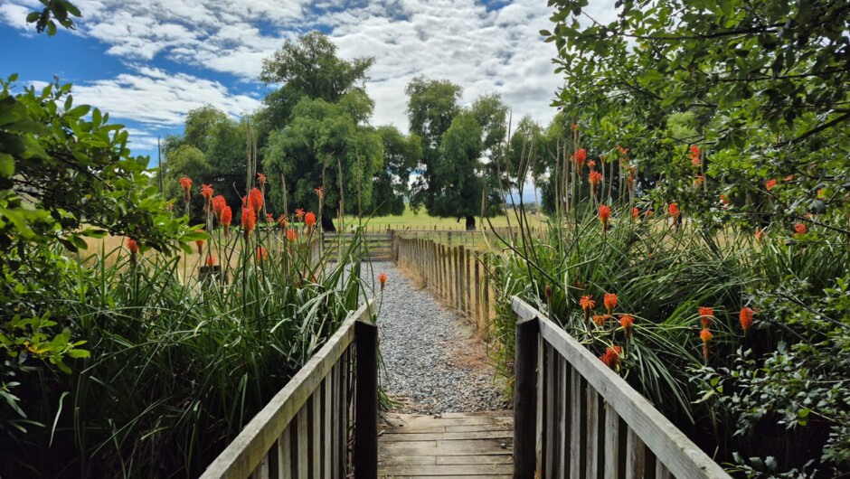 Pathway to meet the animals