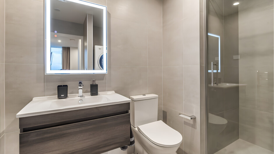 One of the 2 contemporary bathrooms