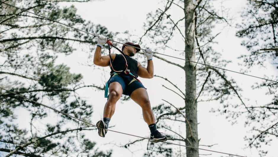Monkey Bridge at The Stix tree Climb