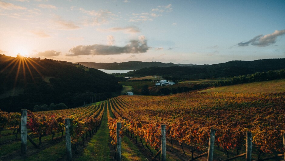 Destiny Bay Wines