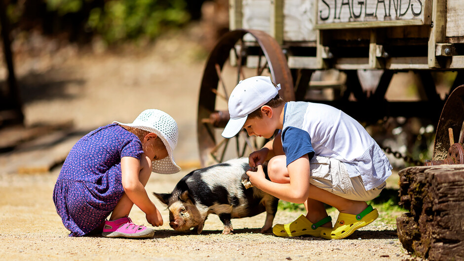 Children with Pig