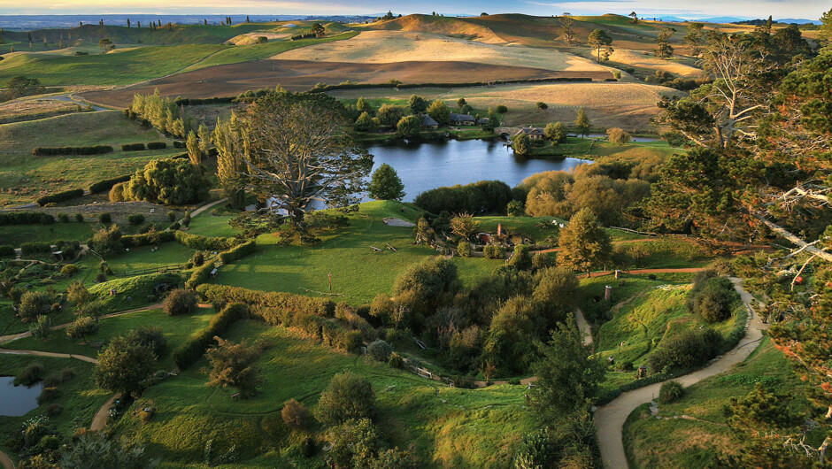 Take in the stunning green farmland of the Waikato region