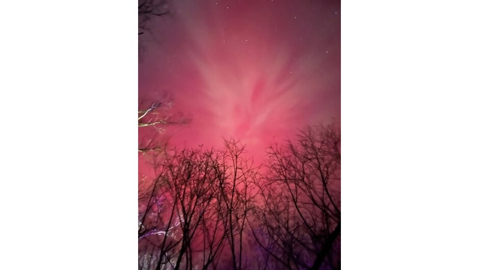 Aurora at Go Glamping NZ Ltd