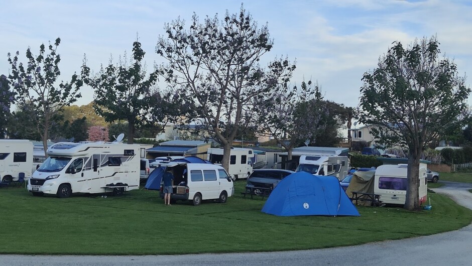 Summer at Kawhia camping ground