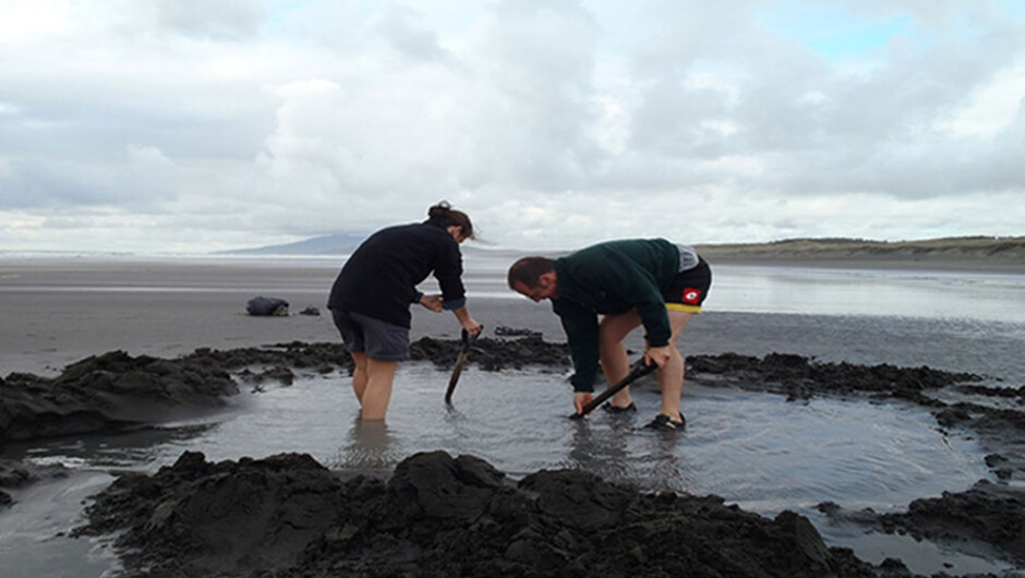 Hot Springs at Ocean beach