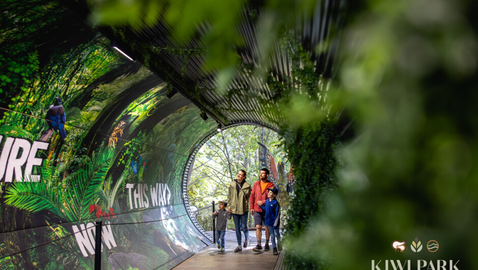 Kiwi Park Tunnel Entrance