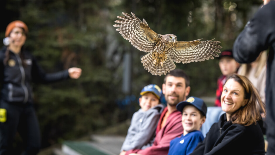 Conservation Show